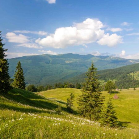 Wiosenny detoks z jogą w Bieszczadach – 12-14.04.2024