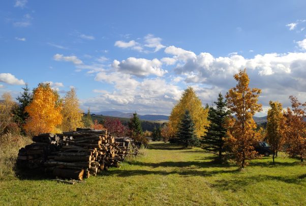jesienny krajobraz w Bieszczadach